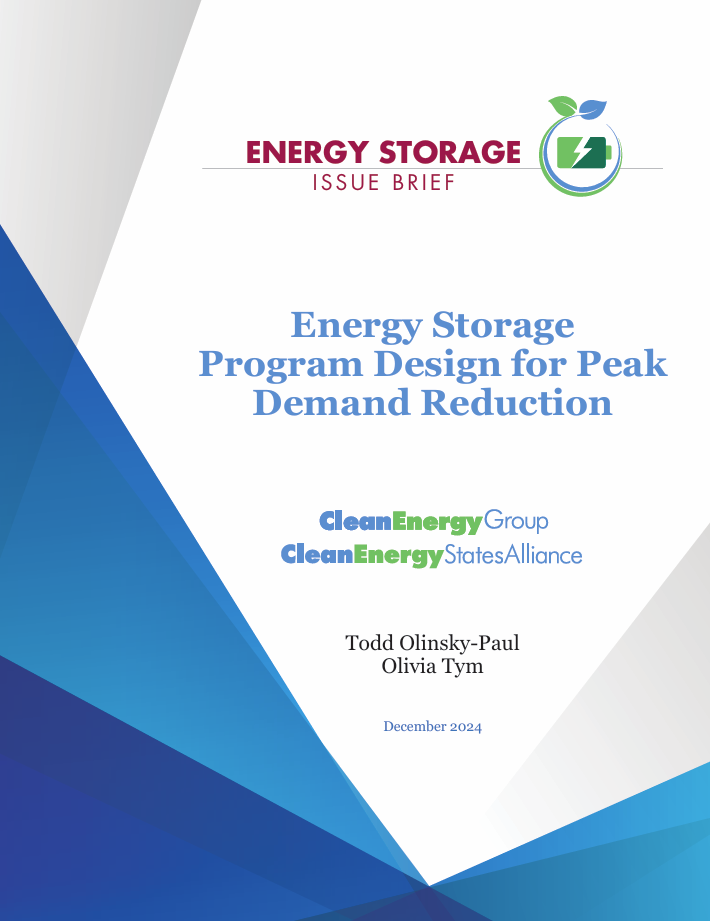 Energy Storage Program Design for Peak Demand Reduction Report Cover